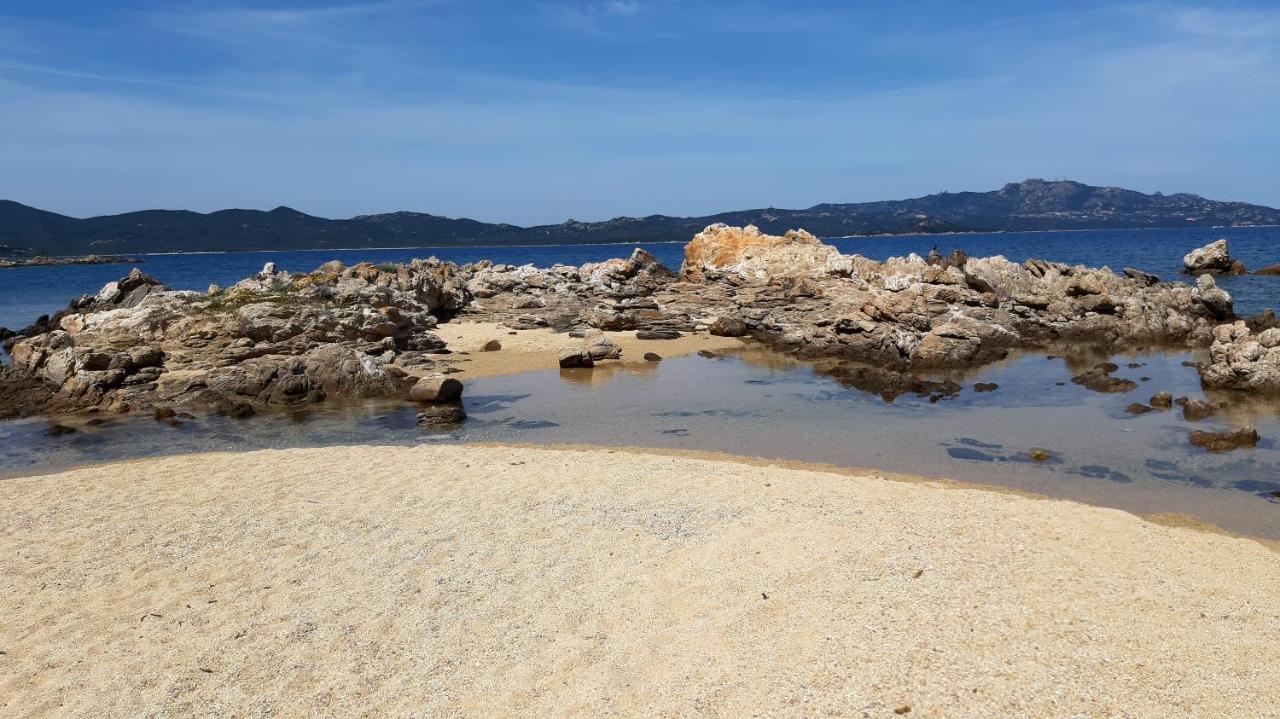 Lo Sguardo Sulla Citta' ,Panoramic View Apartment Olbia Ngoại thất bức ảnh